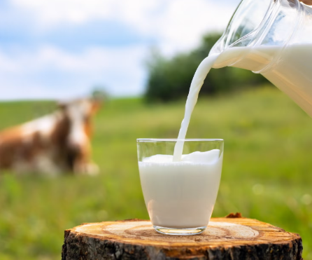 The Amazing Health Benefits of Milk.