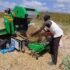 The Advantages of Feeding Silage Bales to Dairy Cows.