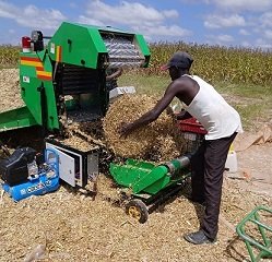 The Advantages of Feeding Silage Bales to Dairy Cows.